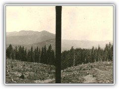 Logging operations (clear cutting)