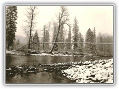 Good shot or our water line crossing Uranus Creek. It took some engineering to get this just right.