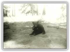 I think I'll set this one out.