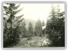 Laundry Day at Spike Camp