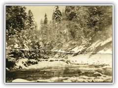 Looking North up Uranus Creek above CCC Co. 531