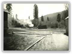 looking toward camp wood piles