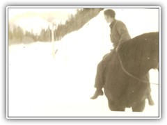 Mike Misconish looking back at deer jumping down the bank from the road.