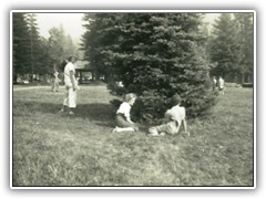 Shoshone Co. Park. Shleter in the background. We built several in the park