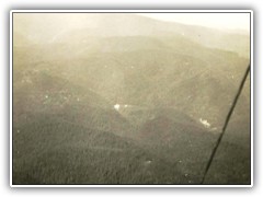 View from a fire lookout tower .